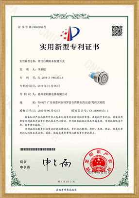 PAM實用新型專利開關