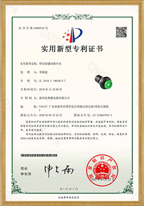 PB22 實用新型專利開關