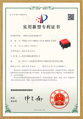 PB13實用新型專利開關(guān)