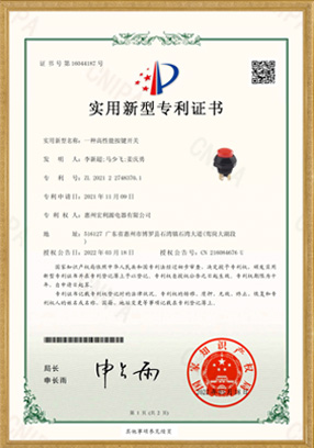 PA12開關(guān)實用新型專利證書