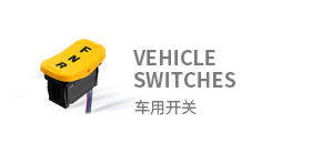 車(chē)用開(kāi)關(guān)