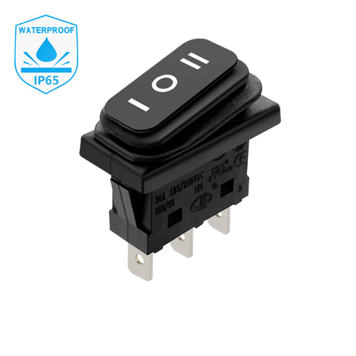 WRH-1-120-P6N-BB IP65防水